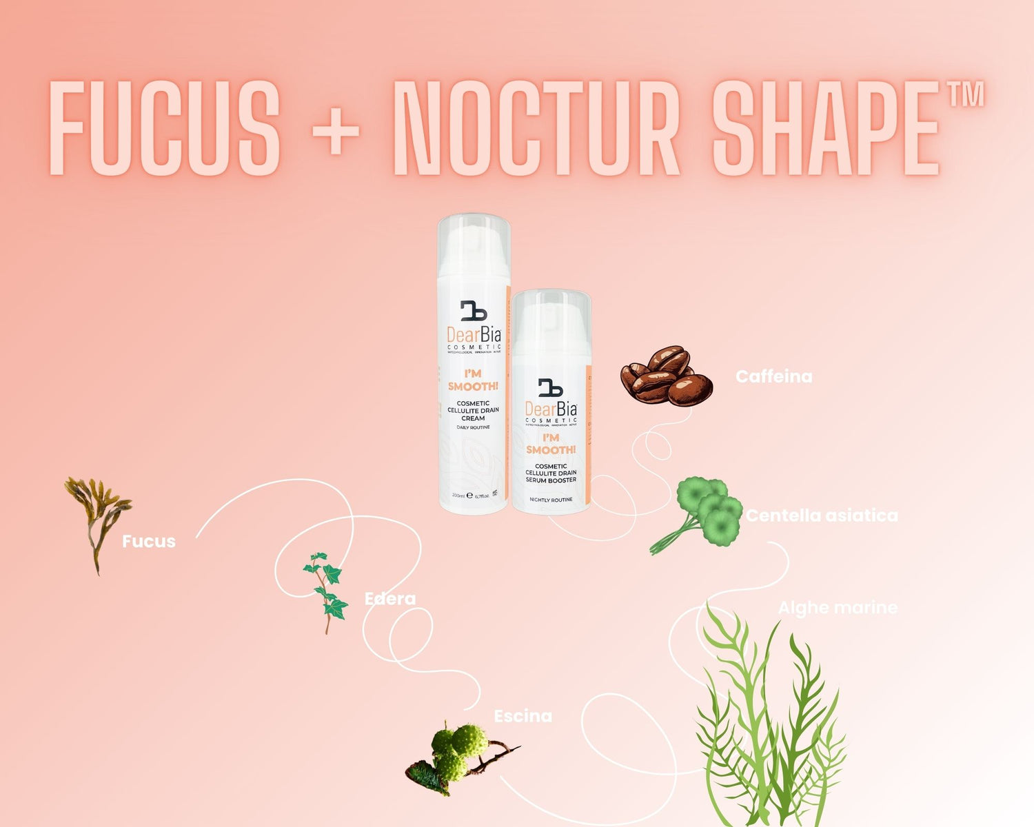 fucus nocturshape